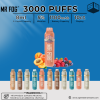 Mr Fog Max 3000 Puffs Disposable Vape 10ct/Display
